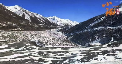 張掖：深秋時節 雪降祁連成詩畫